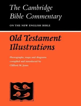Old Testament Illustrations 
