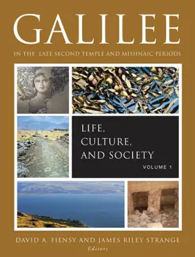 Galilee in the Late Second Temple and Mishnaic Periods: Volume 1: Life, Culture and Society
