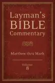 Matthew & Mark: Volume 8