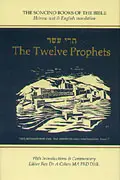 Twelve Prophets: Hebrew Text, English Translation and Commentary