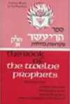 The Book of The Twelve Prophets: Volume 1