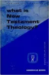 What is New Testament Theology?: The rise of criticism and the problem of a theology of the New Testament