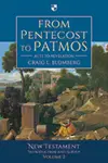 From Pentecost to Patmos: (Volume 2 of the New Testament Introduction and Survey)