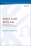 Bible and Bedlam: Madness, Sanism and New Testament Interpretation