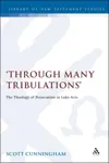 Through Many Tribulations: The Theology of Persecution in Luke-Acts