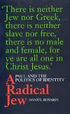 A Radical Jew: Paul and the Politics of Identity