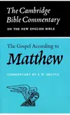 The Gospel according to Matthew 