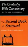 The Second Book of Samuel 