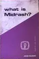 What Is Midrash? (Guides to Biblical Scholarship New Testament Series)
