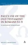 Paul's Use of the Old Testament in Romans 9.1-9: An Intertextual And Theological Exegesis