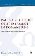 Paul's use of the Old Testament in Romans 9.1-9: an intertextual and theological exegesis