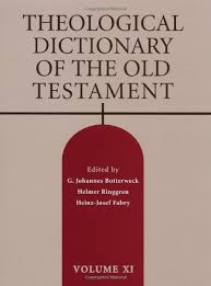 Theological Dictionary of the Old Testament: Volume XI
