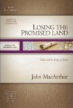 Losing the Promised Land: Elisha and the Kings of Judah