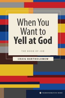 When You Want to Yell at God: The Book of Job